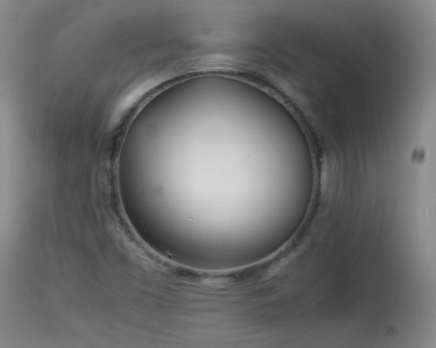X0000113991453200910021211