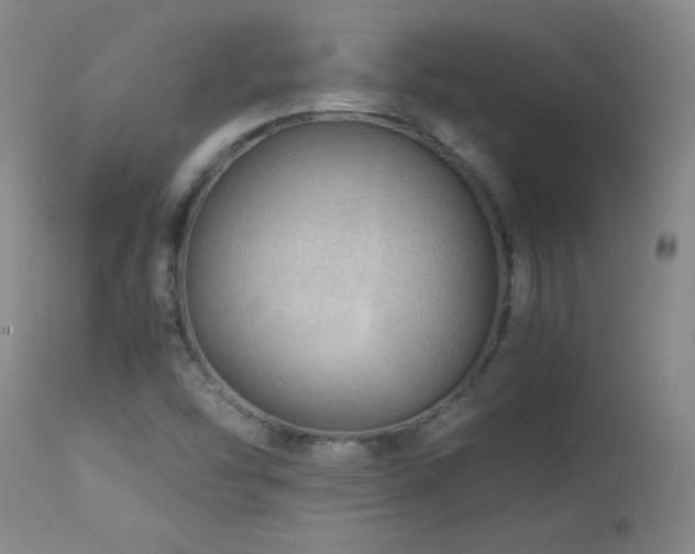 X0000113991454200910021211