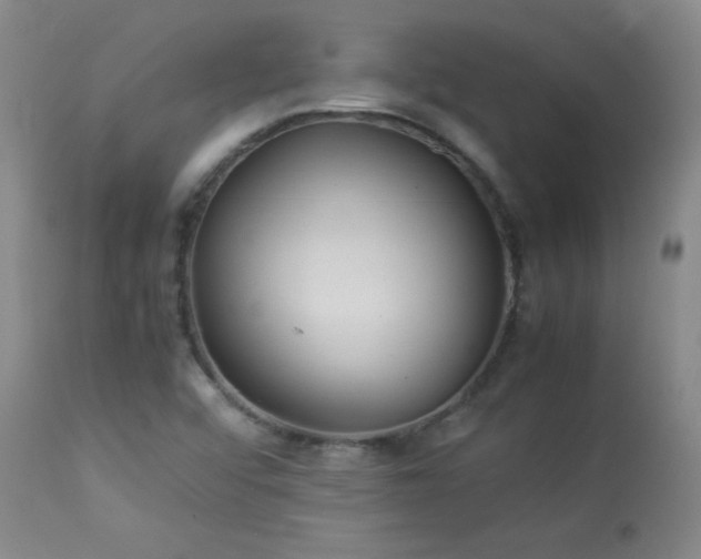 X0000113991456200910021211