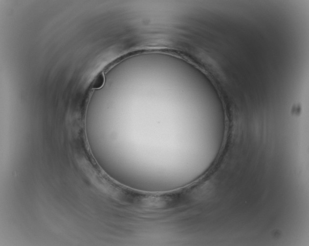 X0000113991457200910021211