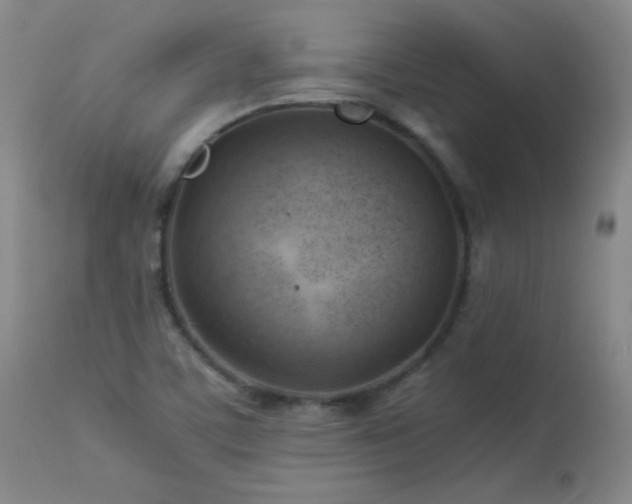 X0000113991459200910021211