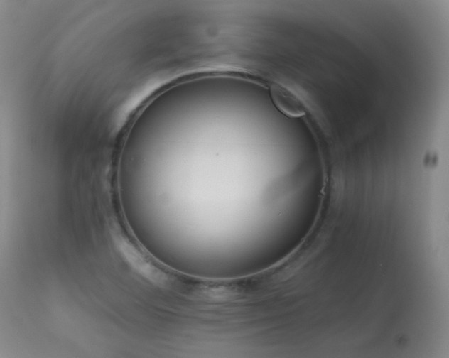 X0000113991460200910021211