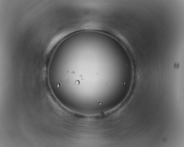 X0000113991461200910021211
