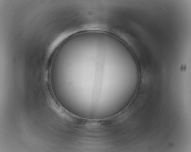 X0000113991462200910021211