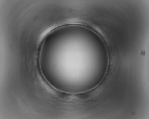 X0000113991463200910021211