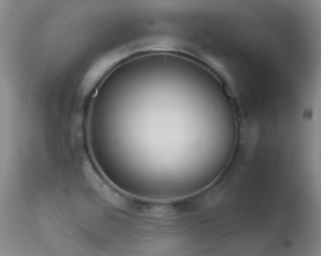 X0000113991464200910021211
