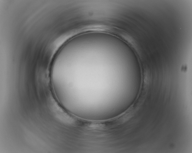X0000113991466200910021211