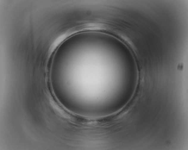 X0000113991467200910021211