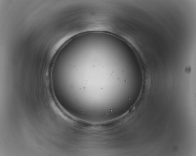 X0000113991468200910021211