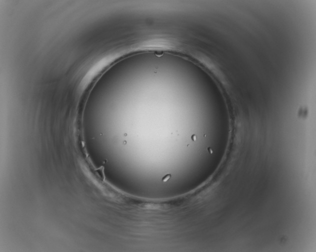 X0000113991469200910021211