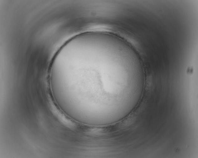 X0000113991470200910021211