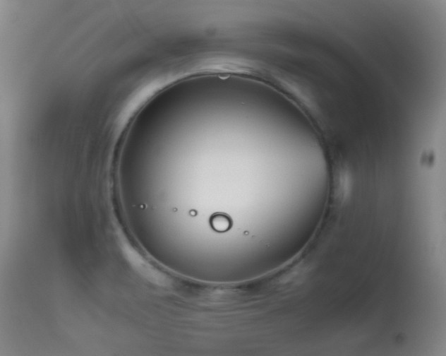 X0000113991471200910021211