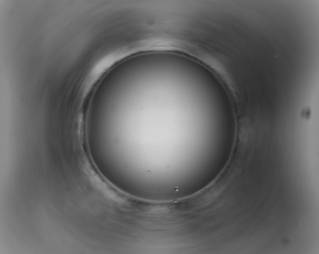 X0000113991472200910021211