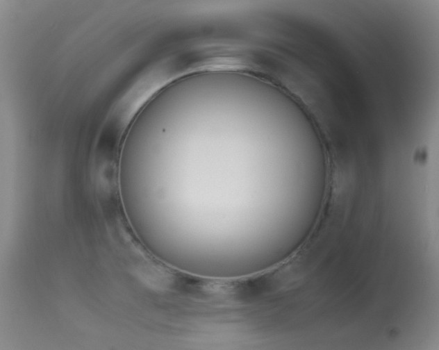 X0000113991473200910021211