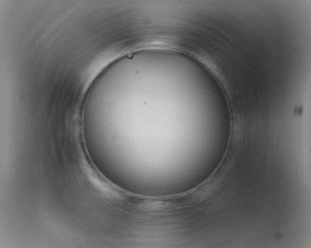 X0000113991474200910021211