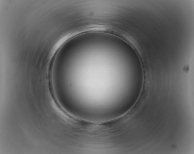 X0000113991475200910021210
