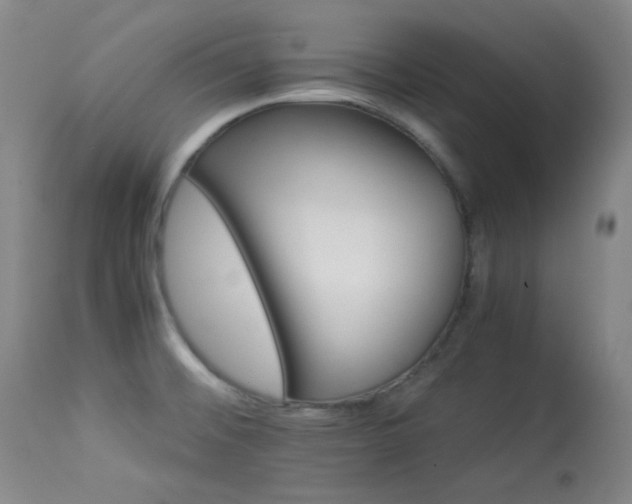 X0000113991476200910021210