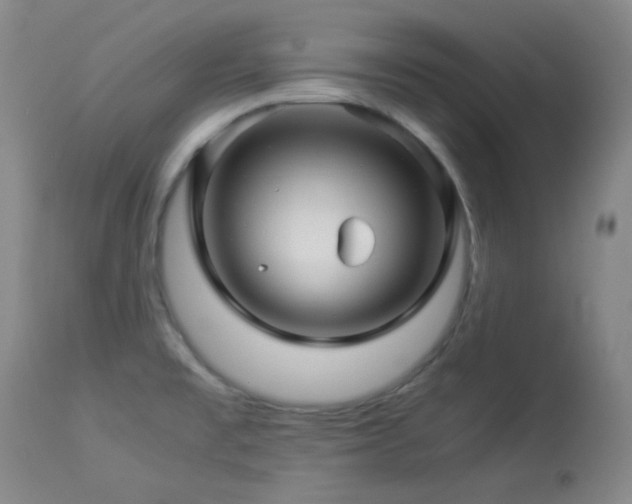 X0000113991477200910021210