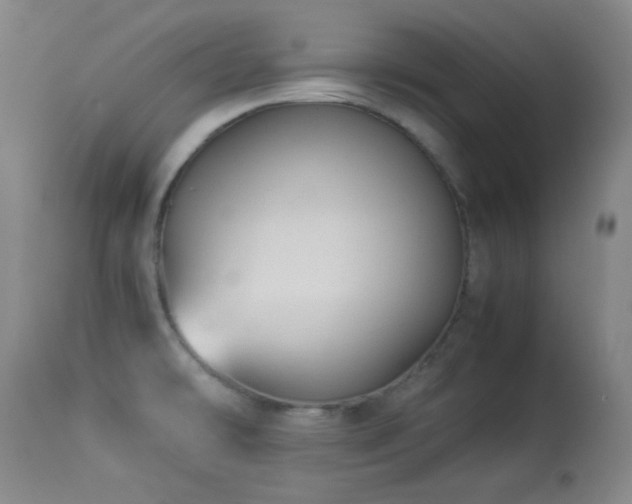 X0000113991478200910021210