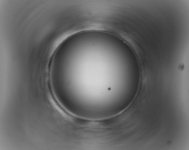 X0000113991479200910021210