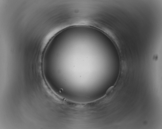 X0000113991480200910021210
