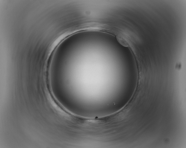 X0000113991483200910021210