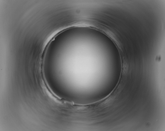 X0000113991484200910021210