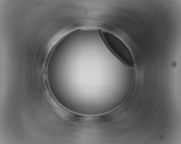 X0000113991485200910021210