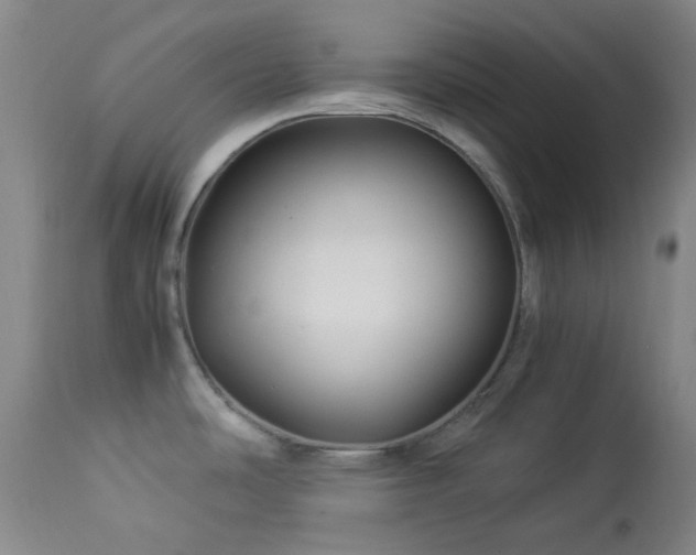 X0000113991486200910021210