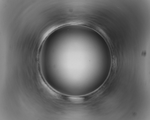 X0000113991487200910021210