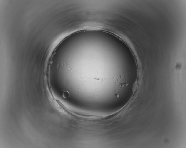 X0000113991488200910021210