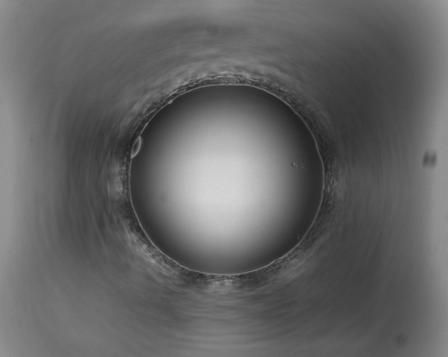 X0000113991490200910021209