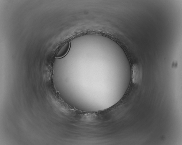 X0000113991491200910021210