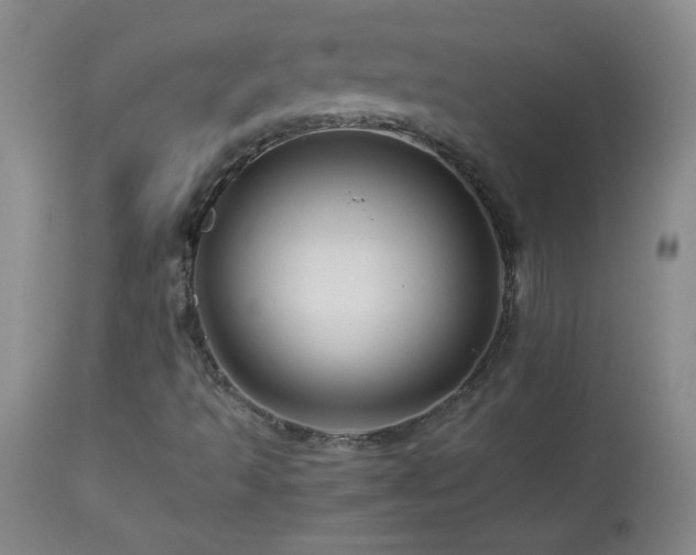 X0000113991493200910021210