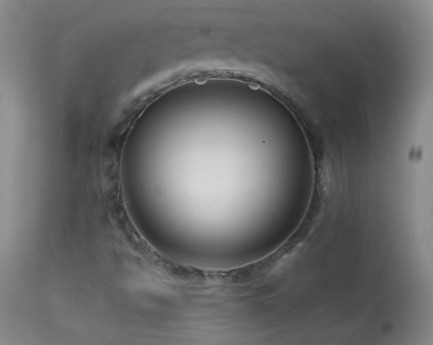 X0000113991494200910021210