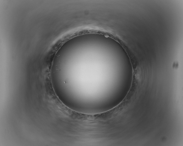 X0000113991495200910021210
