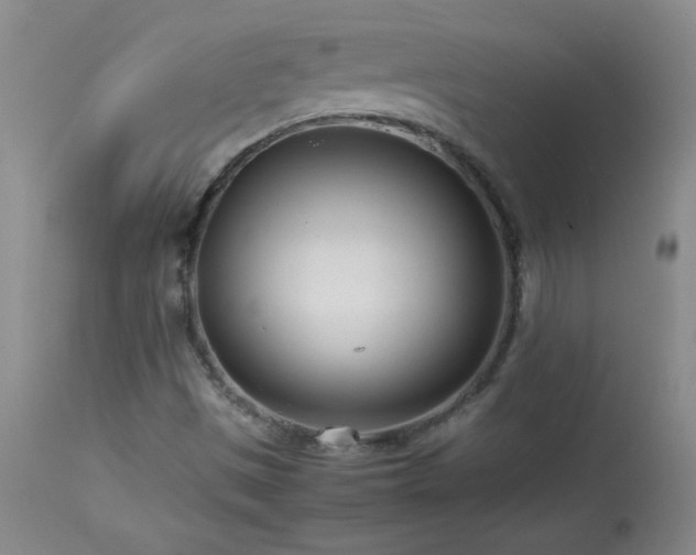 X0000113991497200910021210