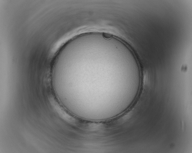 X0000113991498200910021210