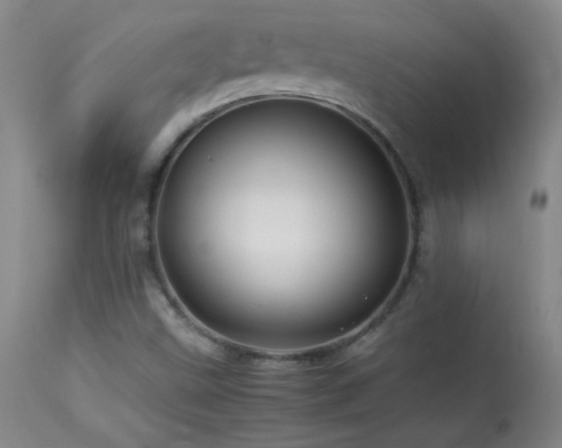 X0000113991499200910021210