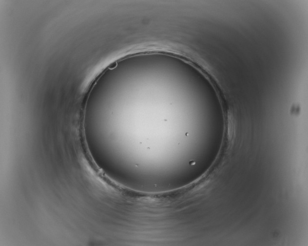 X0000113991500200910021210