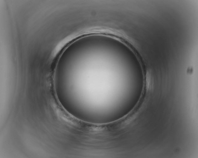 X0000113991501200910021210