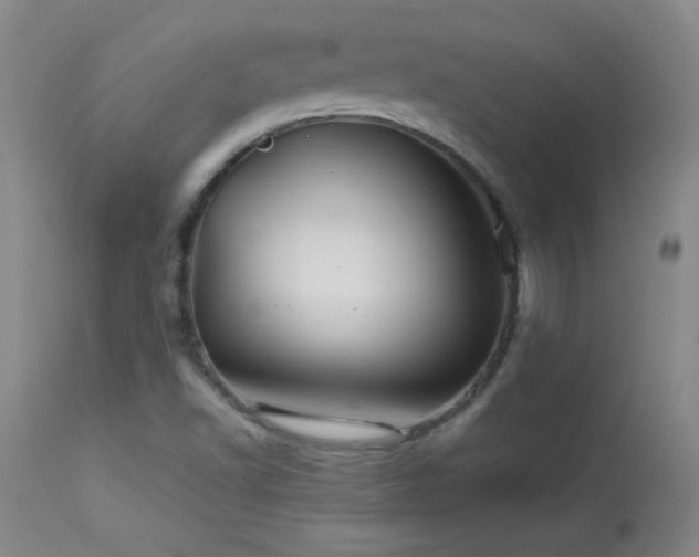 X0000113991502200910021210