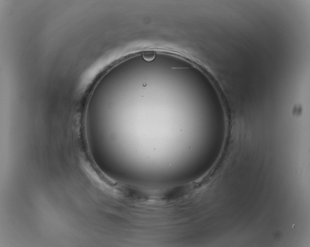 X0000113991503200910021210
