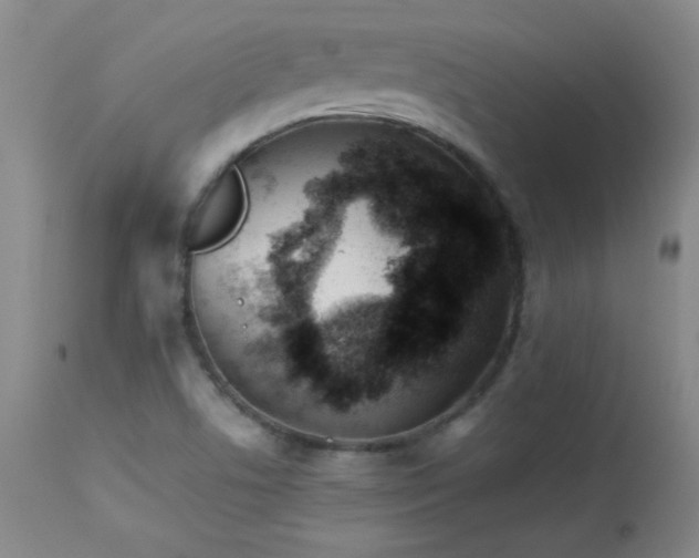 X0000113991506200910021210