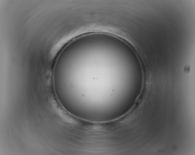 X0000113991507200910021210