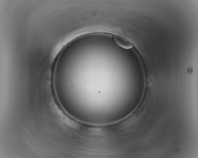 X0000113991508200910021210