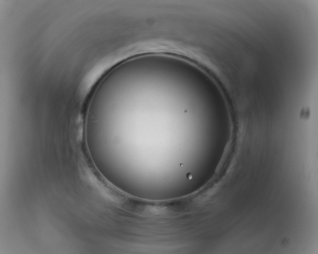 X0000113991509200910021210