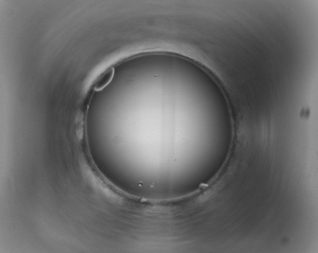 X0000113991510200910021210