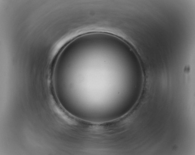 X0000113991511200910021210