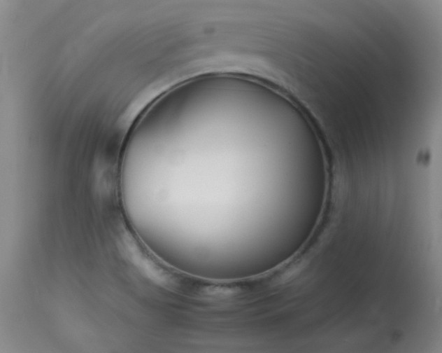 X0000113991513200910021210